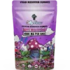 Silly Farms Mushroom Gummies