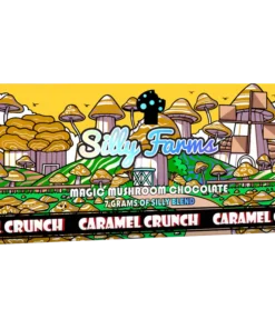 Silly Farms Magic Mushroom Chocolate